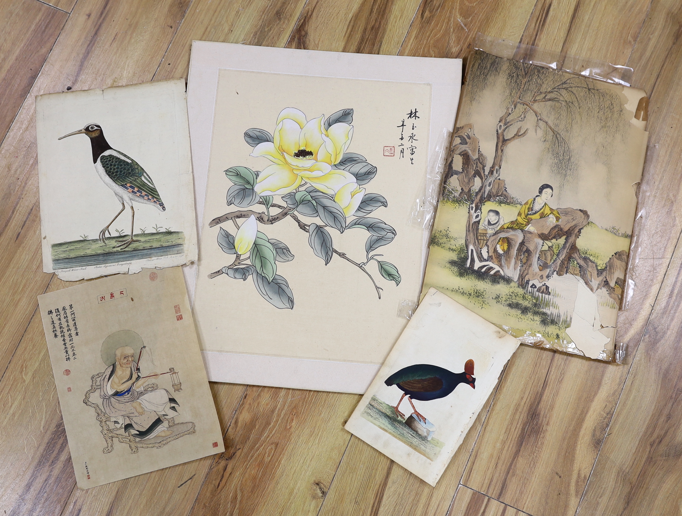 A group of unframed Chinese and Indian paintings and prints, including the Bengall Water Rail, flowers and figures, largest 49 x 40cm